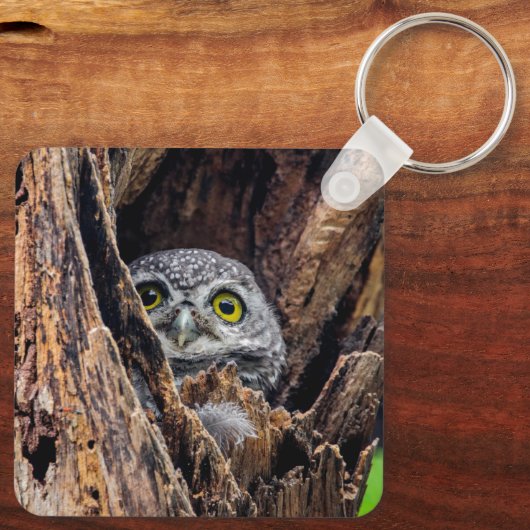 最も可愛い赤ん坊の動物 |斑点のあるオウレット キーホルダー (裏面)