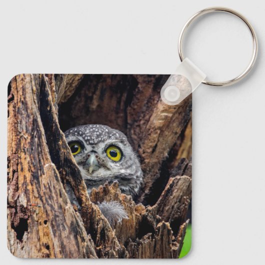 最も可愛い赤ん坊の動物 |斑点のあるオウレット キーホルダー (裏面)