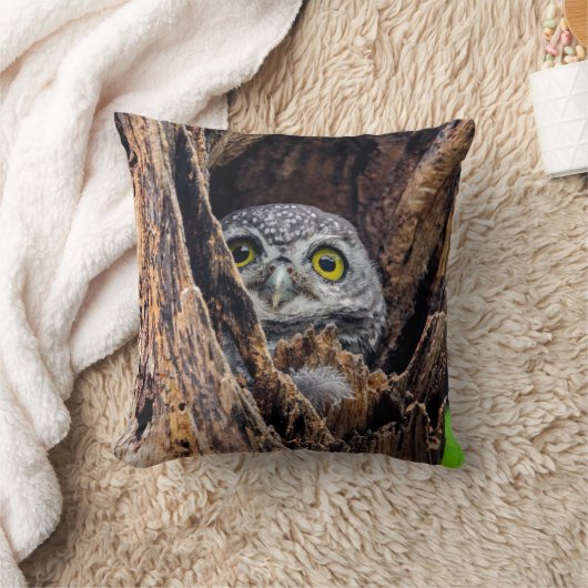 最も可愛い赤ん坊の動物 |斑点のあるオウレット クッション (ブランケット)