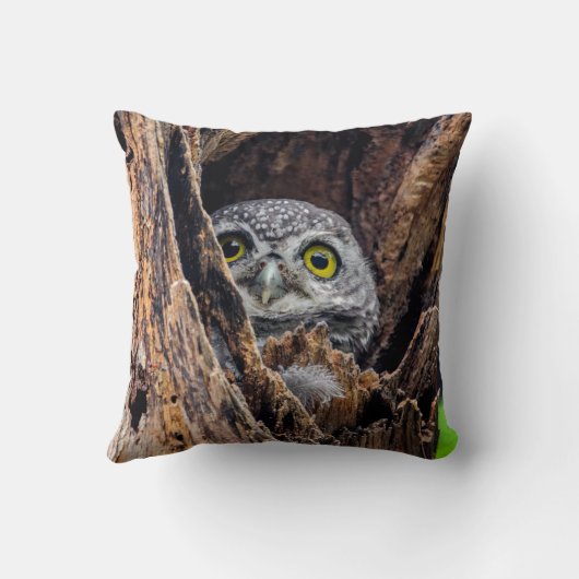 最も可愛い赤ん坊の動物 |斑点のあるオウレット クッション (裏面)