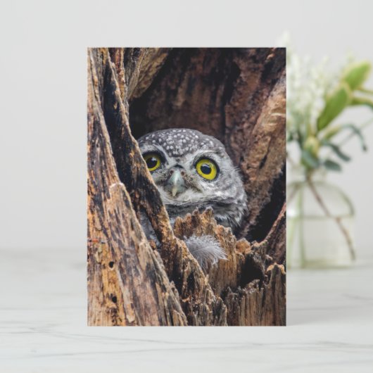 最も可愛い赤ん坊の動物 |斑点のあるオウレット サンキューカード (スタンド正面)