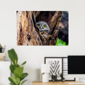 最も可愛い赤ん坊の動物 |斑点のあるオウレット ポスター (ホームオフィス)