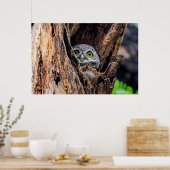 最も可愛い赤ん坊の動物 |斑点のあるオウレット ポスター (キッチン)