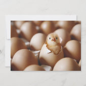 最も可愛い赤ん坊の動物 |新生児 サンキューカード (正面)