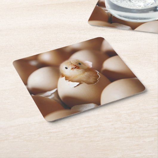 最も可愛い赤ん坊の動物 |新生児 スクエアペーパーコースター (アングル)