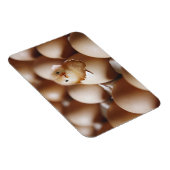 最も可愛い赤ん坊の動物 |新生児 マグネット (右側)