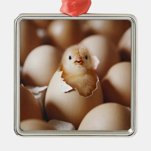 最も可愛い赤ん坊の動物 |新生児 メタルオーナメント (正面)