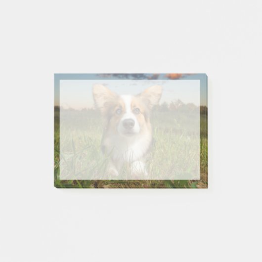 最も可愛い赤ん坊の動物 |曇りヤードのコルギ ポストイット (正面)