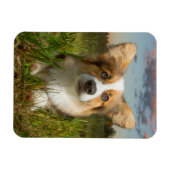 最も可愛い赤ん坊の動物 |曇りヤードのコルギ マグネット (横)