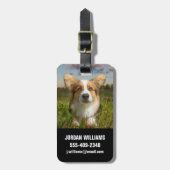 最も可愛い赤ん坊の動物 |曇りヤードのコルギ ラゲッジタグ (正面縦)