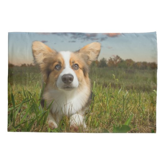 最も可愛い赤ん坊の動物 |曇りヤードのコルギ 枕カバー (裏面)