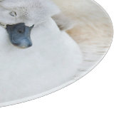 最も可愛い赤ん坊の動物 |母とベビーミュートスワン カッティングボード (角)