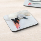 最も可愛い赤ん坊の動物 |母とベビーミュートスワン コースター (左側)