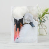 最も可愛い赤ん坊の動物 |母とベビーミュートスワン サンキューカード (スタンド正面)