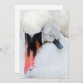 最も可愛い赤ん坊の動物 |母とベビーミュートスワン サンキューカード (正面/裏面)