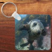 最も可愛い赤ん坊の動物 |水中ケープの毛皮シール キーホルダー (正面)