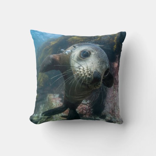 最も可愛い赤ん坊の動物 |水中ケープの毛皮シール クッション (正面)