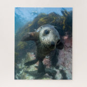 最も可愛い赤ん坊の動物 |水中ケープの毛皮シール ジグソーパズル (縦)