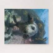 最も可愛い赤ん坊の動物 |水中ケープの毛皮シール ジグソーパズル (横)