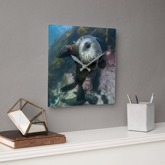 最も可愛い赤ん坊の動物 |水中ケープの毛皮シール スクエア壁時計 (オフィス)