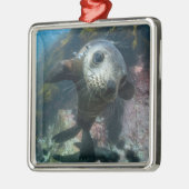 最も可愛い赤ん坊の動物 |水中ケープの毛皮シール メタルオーナメント (左)