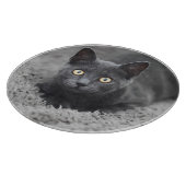 最も可愛い赤ん坊の動物 |灰色の猫 カッティングボード (角)