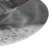 最も可愛い赤ん坊の動物 |灰色の猫 カッティングボード (角)