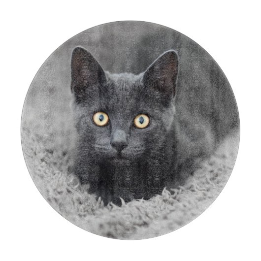 最も可愛い赤ん坊の動物 |灰色の猫 カッティングボード (正面)