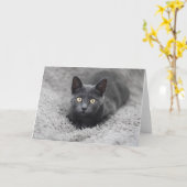 最も可愛い赤ん坊の動物 |灰色の猫 カード (黄色い花)