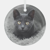 最も可愛い赤ん坊の動物 |灰色の猫 ガラスオーナメント (正面)