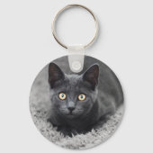 最も可愛い赤ん坊の動物 |灰色の猫 キーホルダー (正面)