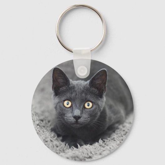 最も可愛い赤ん坊の動物 |灰色の猫 キーホルダー (正面)