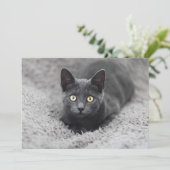 最も可愛い赤ん坊の動物 |灰色の猫 サンキューカード (スタンド正面)