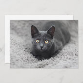 最も可愛い赤ん坊の動物 |灰色の猫 サンキューカード (正面/裏面)