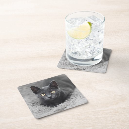 最も可愛い赤ん坊の動物 |灰色の猫 スクエアペーパーコースター (インサイチュ)