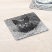 最も可愛い赤ん坊の動物 |灰色の猫 スクエアペーパーコースター (アングル)