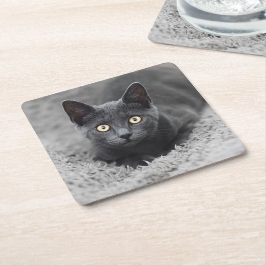 最も可愛い赤ん坊の動物 |灰色の猫 スクエアペーパーコースター (アングル)