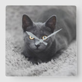 最も可愛い赤ん坊の動物 |灰色の猫 スクエア壁時計 (正面)