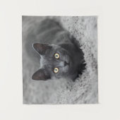 最も可愛い赤ん坊の動物 |灰色の猫 タペストリー (正面)