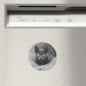 最も可愛い赤ん坊の動物 |灰色の猫 マグネット (インサイチュ (食洗機))