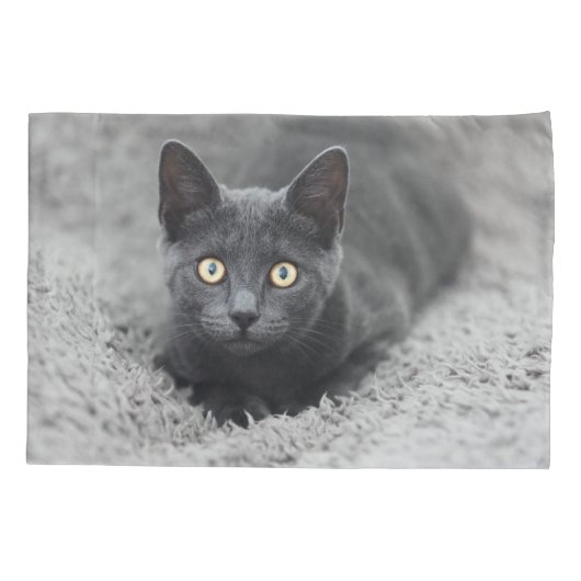 最も可愛い赤ん坊の動物 |灰色の猫 枕カバー (裏面)