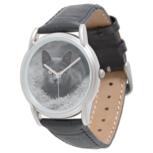 最も可愛い赤ん坊の動物 |灰色の猫 腕時計 (アングル)