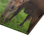 最も可愛い赤ん坊の動物 |牛と子牛 カッティングボード (角)