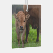 最も可愛い赤ん坊の動物 |牛と子牛 ガラスオーナメント (正面右)