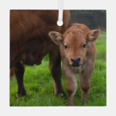 最も可愛い赤ん坊の動物 |牛と子牛 ガラスオーナメント (裏面)