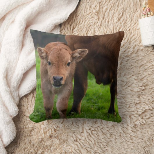 最も可愛い赤ん坊の動物 |牛と子牛 クッション (ブランケット)