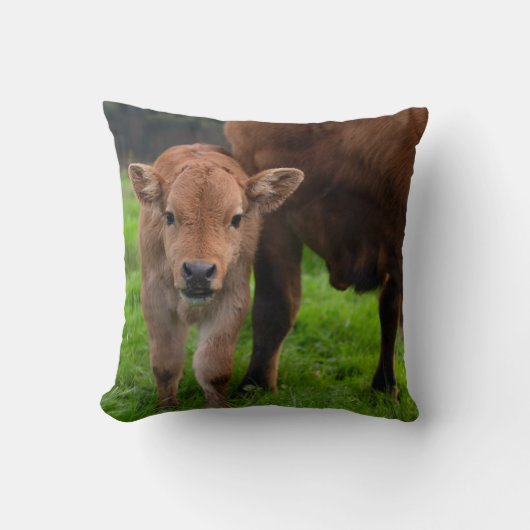 最も可愛い赤ん坊の動物 |牛と子牛 クッション (正面)