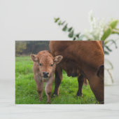 最も可愛い赤ん坊の動物 |牛と子牛 サンキューカード (スタンド正面)