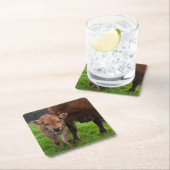 最も可愛い赤ん坊の動物 |牛と子牛 スクエアペーパーコースター (インサイチュ)