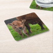 最も可愛い赤ん坊の動物 |牛と子牛 スクエアペーパーコースター (アングル)